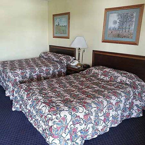 Red Roof Inn Redding Kamer foto